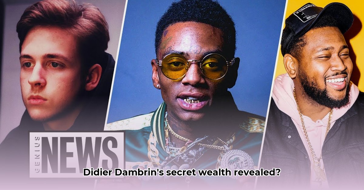 didier-dambrin-net-worth